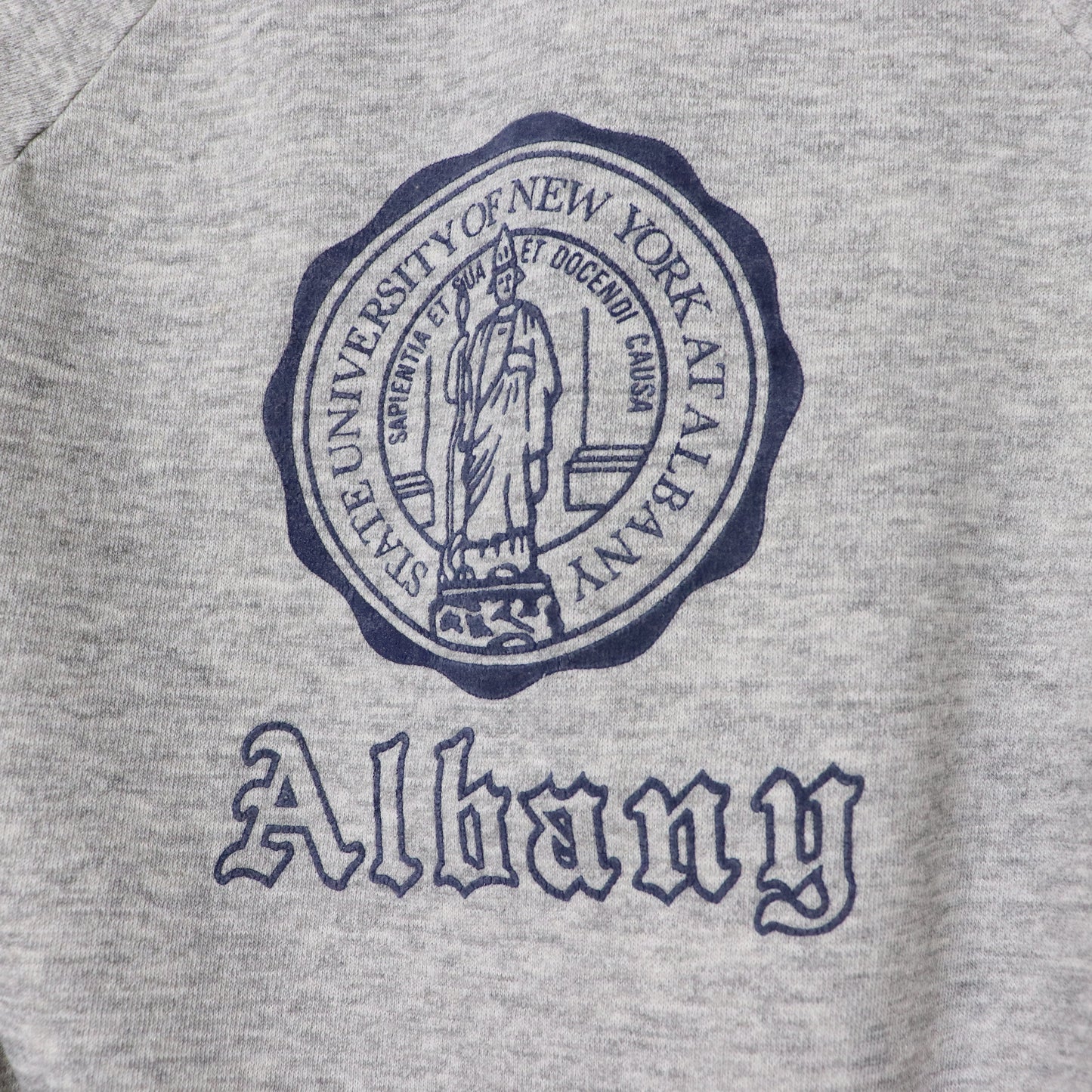 Vintage 70's NY Albany University Crest Crewneck Sweatshirt Adult Size M