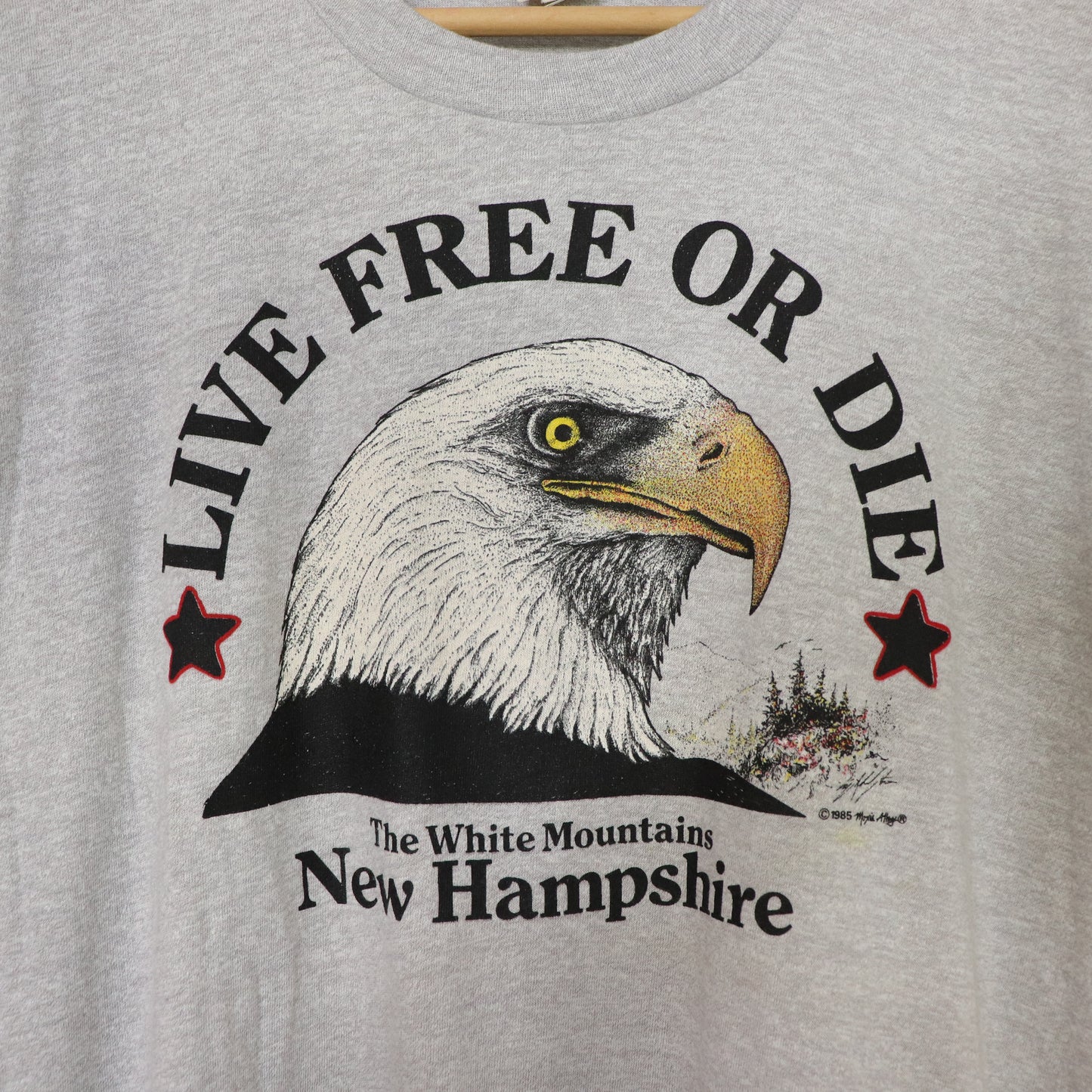 Vintage 80's New Hampshire Eagle Live Free Tourist T-Shirt Men's Sz XL NOS