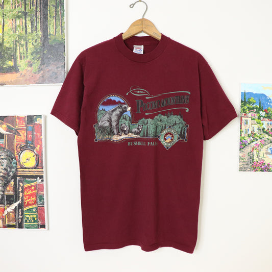 Vintage 90's Pocono Mountains Bushkill Falls Nature T-Shirt Men's Sz M