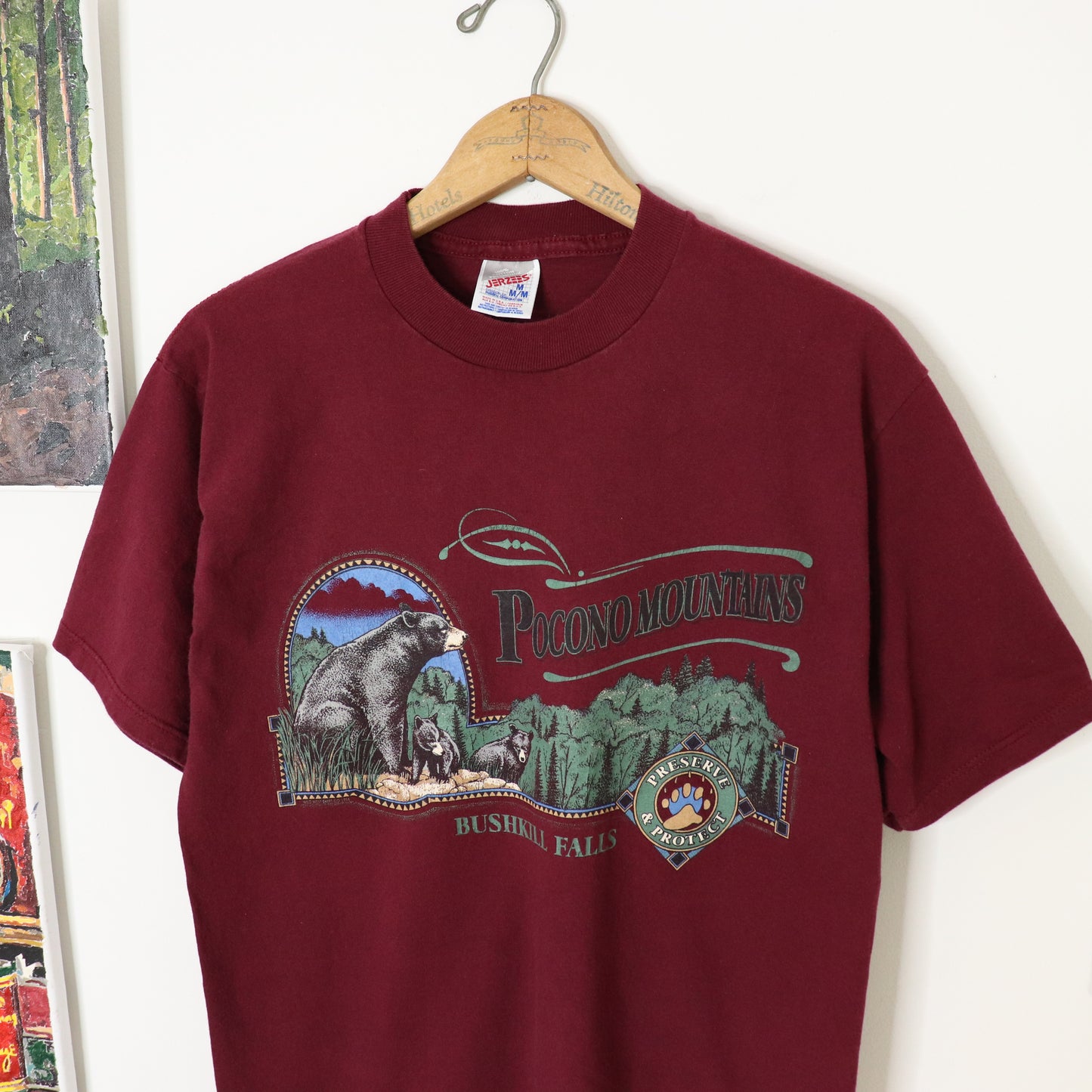 Vintage 90's Pocono Mountains Bushkill Falls Nature T-Shirt Men's Sz M