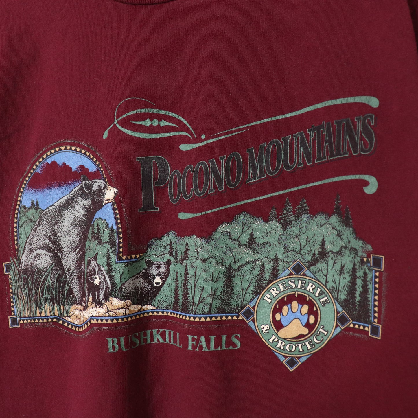 Vintage 90's Pocono Mountains Bushkill Falls Nature T-Shirt Men's Sz M